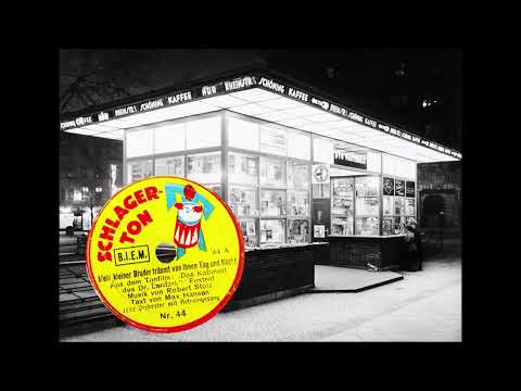 Mein kleiner Bruder träumt von Ihnen Tag und Nacht! Orchester Julian Fuhs & Walter Jurmann, 1930