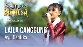 Download lagu LAILA CANGGUNG AYU CANTIKA - MAHESA MUSIC LIVE NGESENG KARANGROWO UNDAAN KUDUS mp3