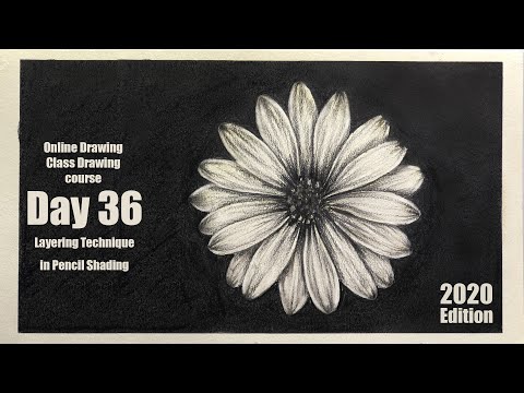 Drawing for Beginners Step by Step | Day 011 Part 1 | Basic Pencil Shading Technique Part 1