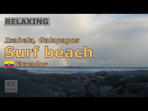 🇪🇨 Surf beach, Isabela, Galapagos, Ecuador, May 2025 | Relaxing | #4k #rainbow #marineiguana