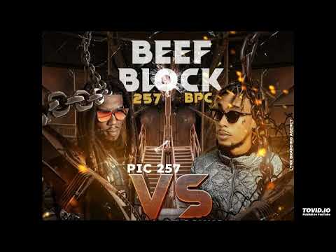 PIC 257 VS 47 G SHY- BEEF BLOCK