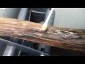 How To Fix Cracks On Wood Walking Stick