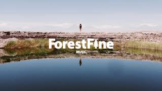 Belle and Sebastian - The Ghost of Rockschool