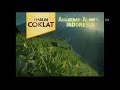 Djarum Coklat Kretek Terbaik 5s
