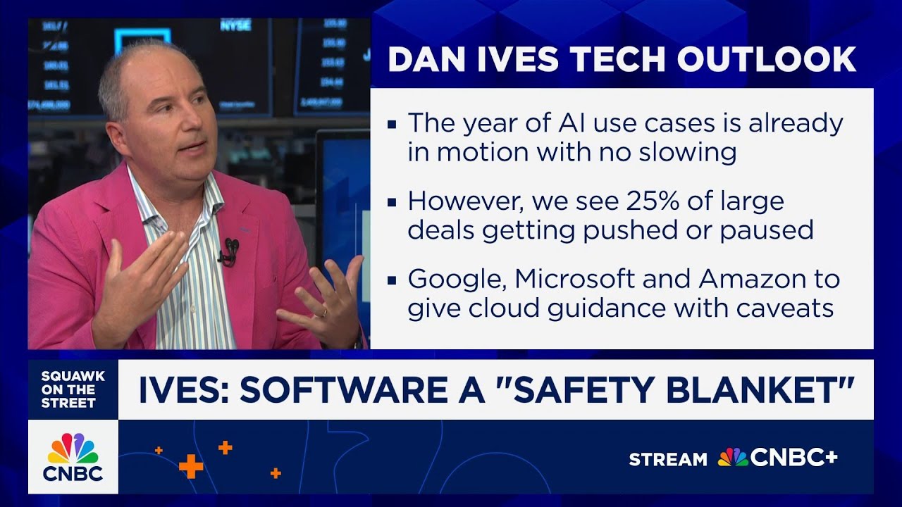 Wedbush's Dan Ives: The only safety in tech right now is software