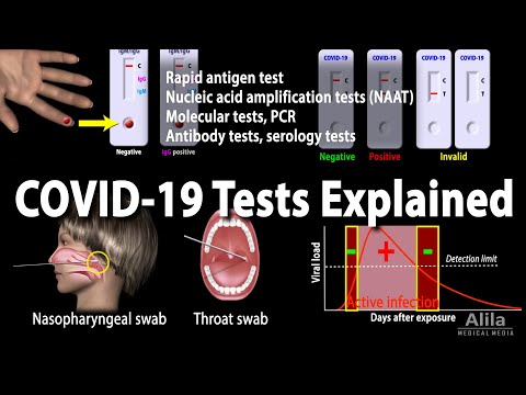 All Types of Vaccines How They Work Animation