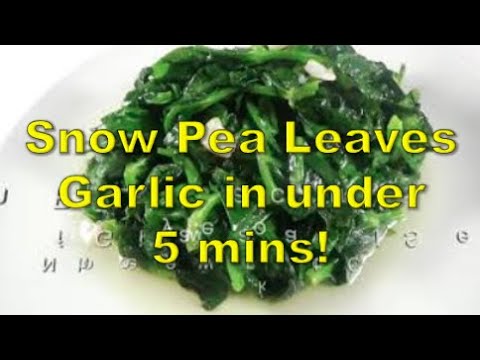 download lagu mp3 mp4 Snow Pea Leaves, download lagu Snow Pea Leaves gratis, unduh video klip Snow Pea Leaves