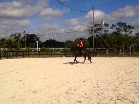 video 2015 01 04 10 25 22