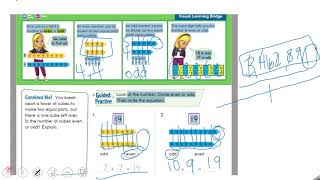 Envision Lesson 2-1 Even/Odd Numbers