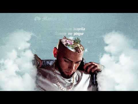 Gino Mella - Maconha ¿Cuál Normalidad? (Audio Oficial)