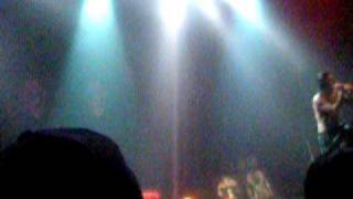 black light burns - animal