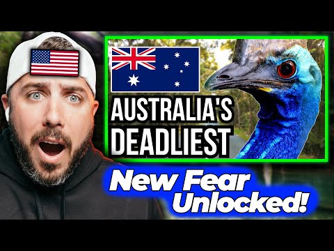 American Reacts to 14 Creatures That Prove Australia Is Nature’s Final Boss