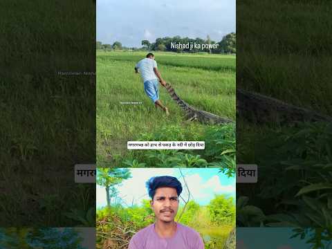 #TIMELAPSE START to FINISH Alone BUILD LOG Cabin (Wooden House) How To Build Wooden Cabin parth222