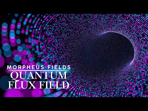 quantum flux field