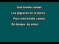 Karaoke-Paloma Azul-El Tigrillo