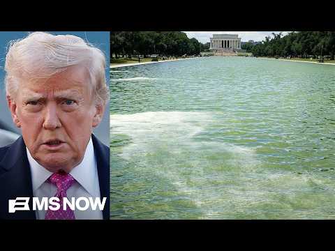 'We need to cut the corruption': Dems spotlight 'monumental waste' in Trump's vanity projects