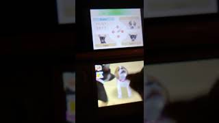 How to name your  dog (nintendogs)