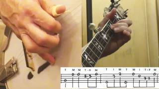 Dueling Banjos: How I play it on 5-string Bluegrass Banjo