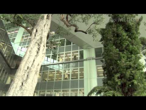 "Urbanisierung und Stadtplanung", Prof. Dr. P. Droege im Interview