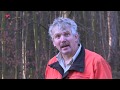 Kerstboom in Kuinderbos gekapt voor Tweede Kamer