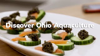 Discover Ohio Aquaculture | Ohio Sea Grant Extension