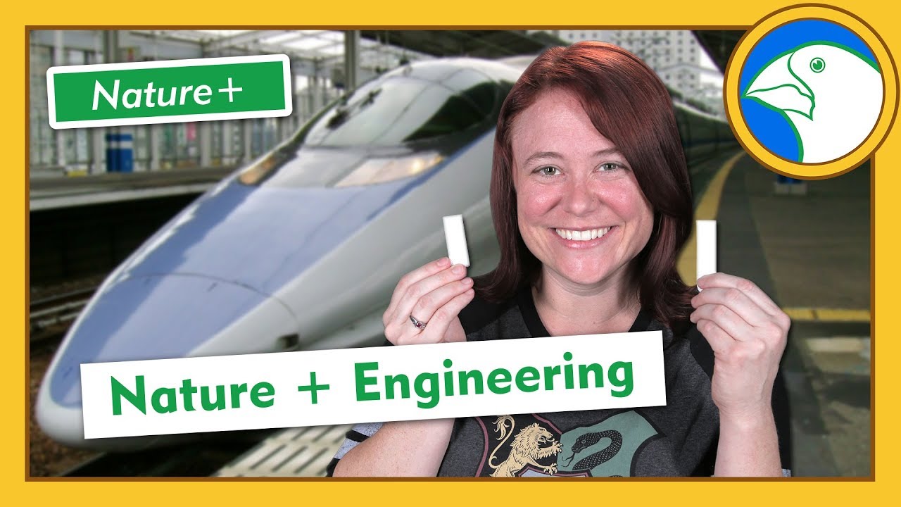 Nature + Engineering