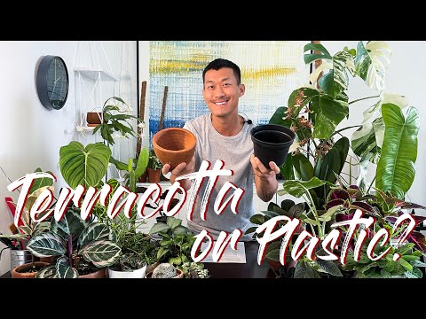 Terracotta VS Plastic Pots (and everything in between)