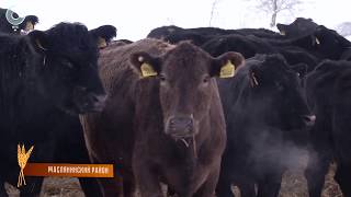 Программа «Аграрный вопрос», ООО «Сибирская Нива»