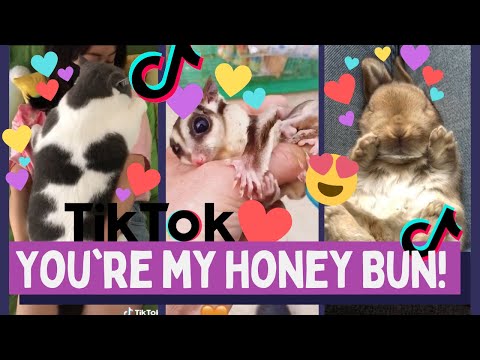 you are my honey bunch sugar plum mp3 free download