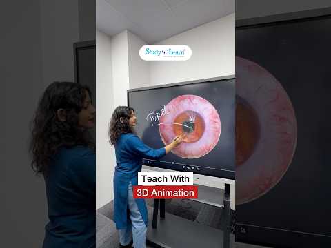 Digital Board With 3D Animation - Human Eye 3D Animation On Smart Board For Teaching In Classroom