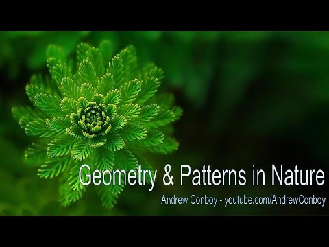Patterns in Nature - Symmetry, Fractals & Geometry!