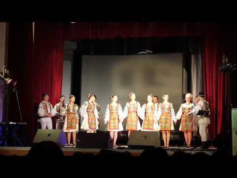 Ansamblul Folcloric Doinita - Dans din Banat - 24 Ianuarie 2016 Mica Unire