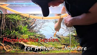 The International Aquatic Plants Layout Contest 2025