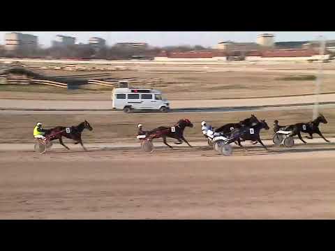 2023.03.04. 07. futam - 2023. ÉVI KINCSEM PARK KUPA II. FUTAMA HENDIKEP