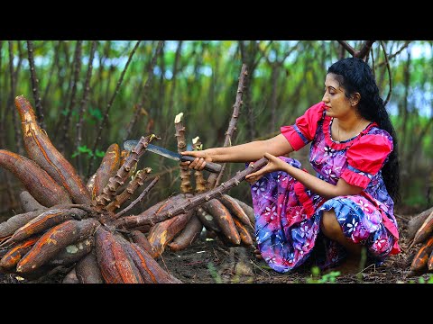 Cassava Boba Tea 🧋 Tapioca Flour Pudding and Traditional Sri Lankan Dishes from Root to Recipe