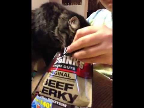 Can't get enough beef jerky!
