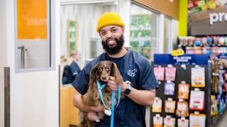 Inside the Salon: Meet D'Angelo | Petco Grooming Team