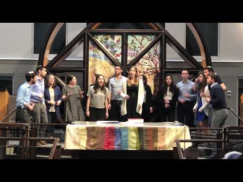 When You Believe | Pizmon