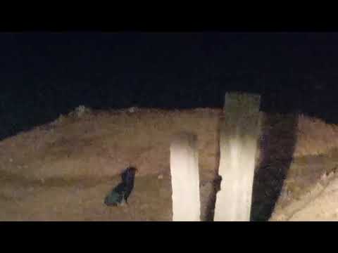 Saindo de Japurá PR e voltando pra Ourinhos Sp aguardando a Balsa