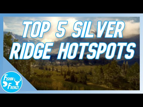 Top 5 BEST SPOTS To Try On Silver Ridge Peaks!! | theHunter - Call of the Wild