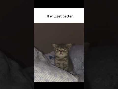 You matter to me❤️ #kindness #hopecore #love #life #lifemattersz