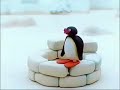 PINGU 121