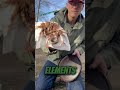 Season Your DUTCH OVEN in an Open Fire
