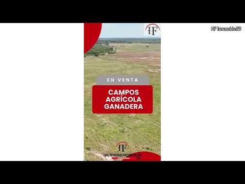 185 Has Agrícolas en Chaco | Fracciones con Potencial de Riego a 2 km del Río Bermejo