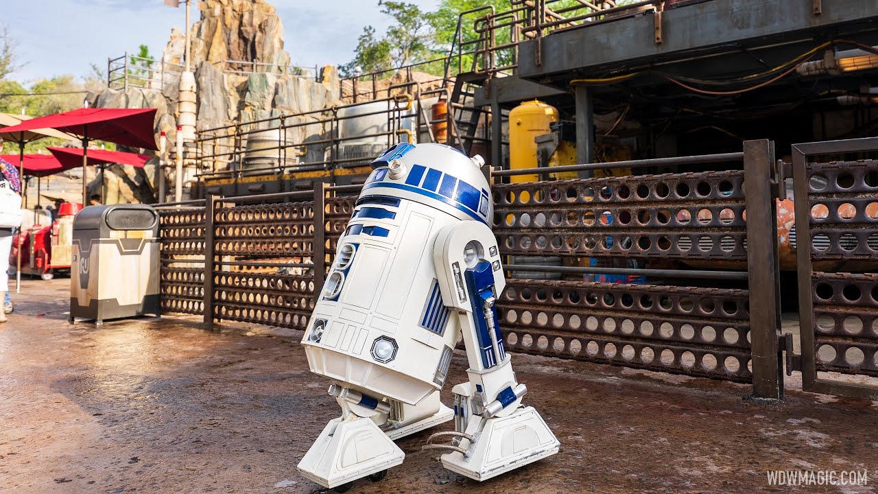 R2-D2 meet and greet at Star Wars Galaxy's Edge