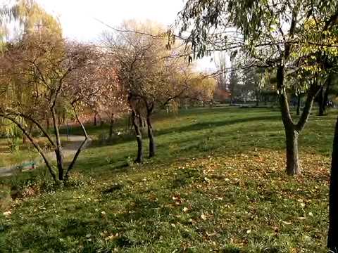 Allviev P4 Duo Test video