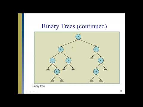 Tree Data Structure Binary Tree and Binary Tree Class