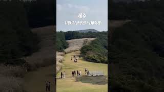 제주여행#제주가을#산굼부리#억새