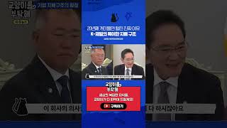 20년째 개미들만 털린 진짜 이유, K-재벌의 특이한 지배 구조 / 비디오머그 /  교양이를 부탁해