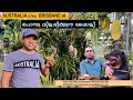 AUSTRALIA BRISBANE ൽ ഇത്രയും നല്ല ഒരു കൃഷിത്തോട്�